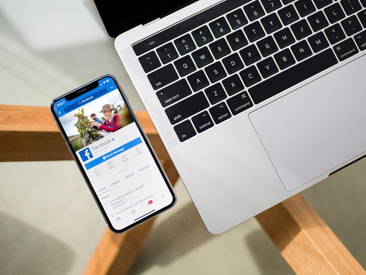 animation-reseaux-sociaux-vignoble
