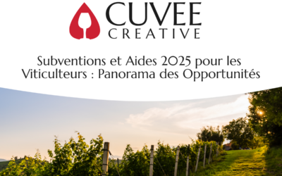 Subventions et Aides 2025 pour les Viticulteurs : Panorama des Opportunités