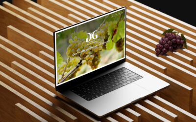 Et si le site internet d’un domaine viticole redevenait un vrai outil utile ?